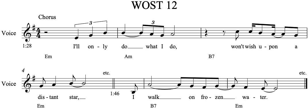 WOST-Ex-12
