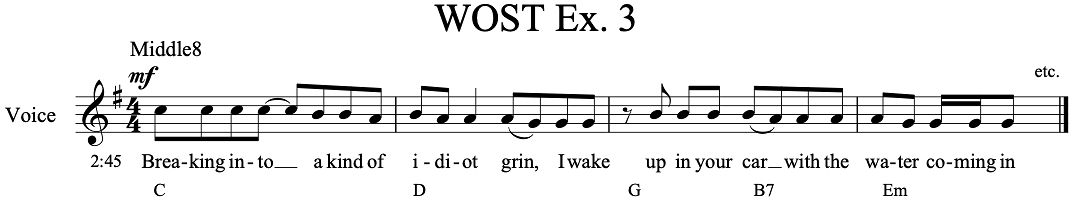 WOST-Ex-3